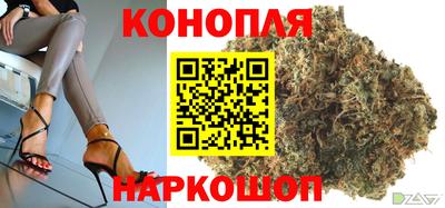 стаф Краснодар