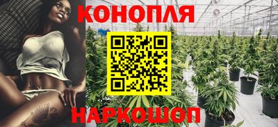 стаф Краснодар