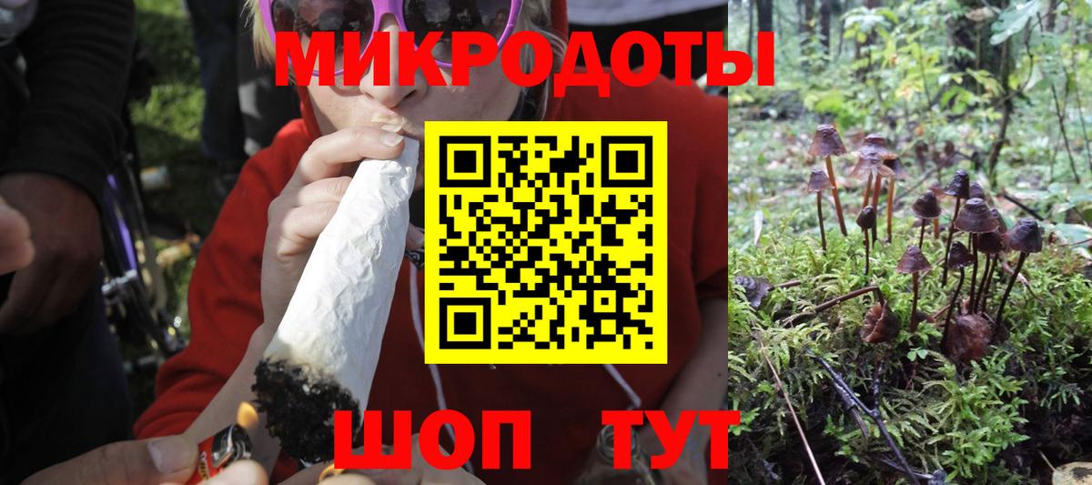 Камышлов  закладка  Вход с VPN  Псилоцибиновые грибы ЛСД 