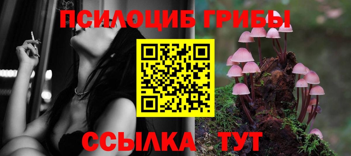 Галлюциногенные грибы мицелий Камышлов
